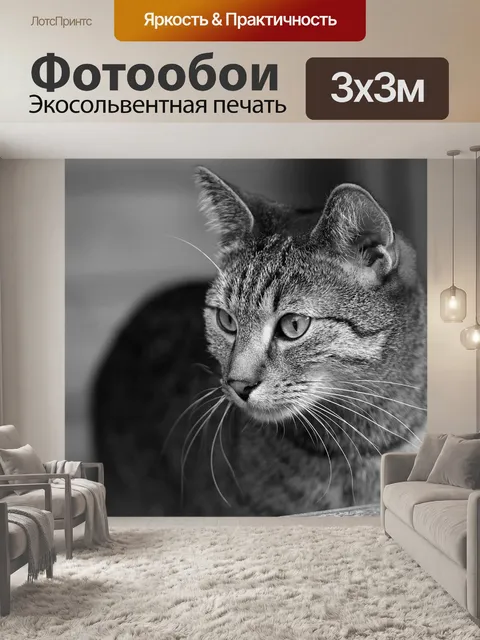 Фотообои Кошка