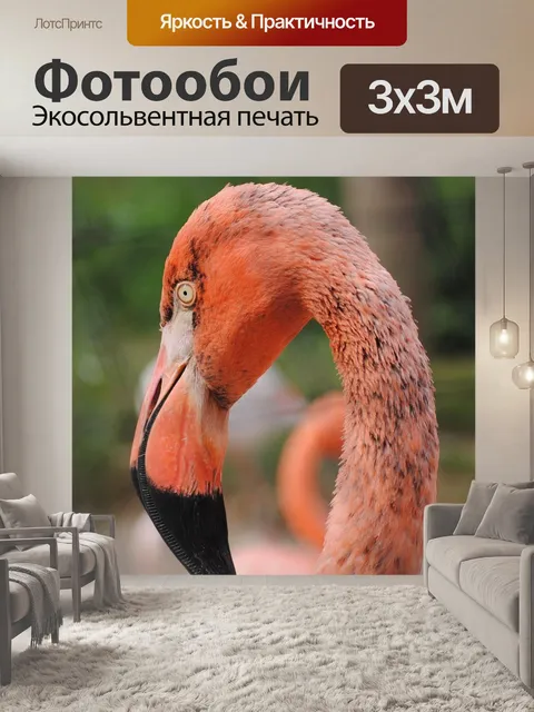 Фотообои Фламинго
