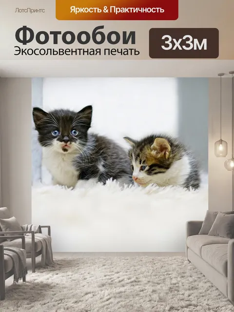 Фотообои Кошки