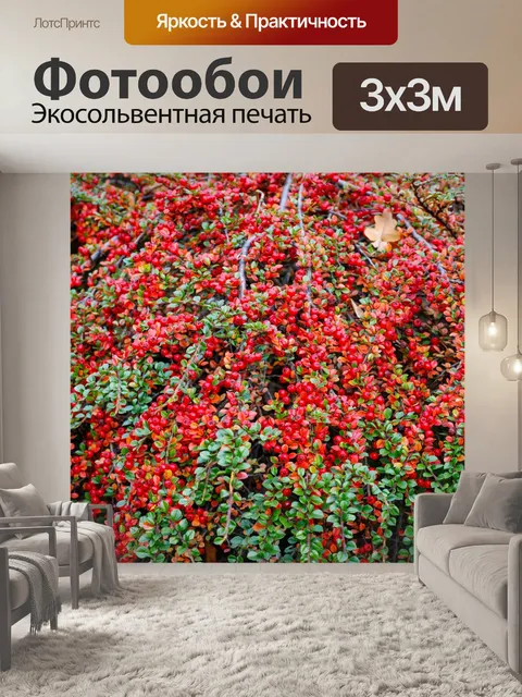 Фотообои Ботанический сад в Быдгоще