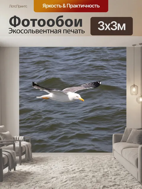 Фотообои Птица