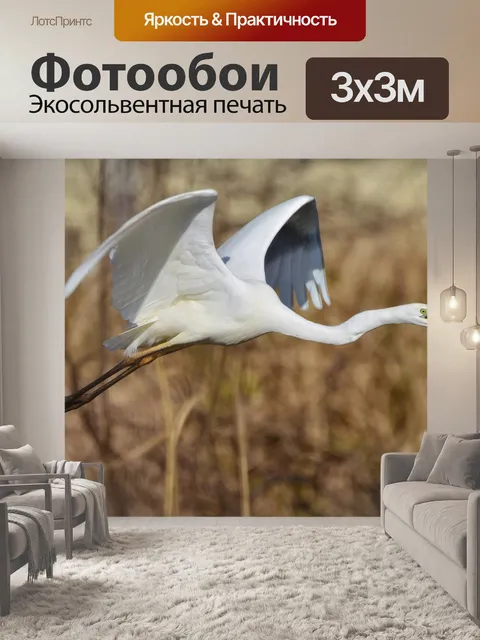 Фотообои Животное