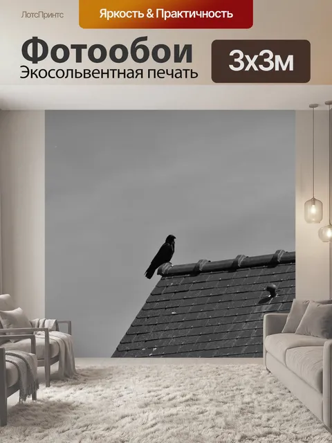 Фотообои Ворона на крыше