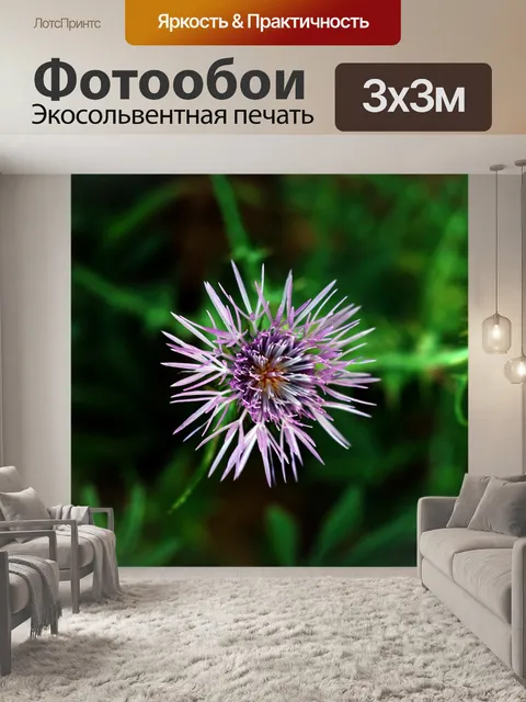 Фотообои Природа