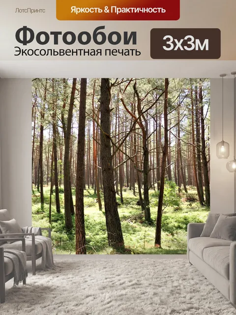 Фотообои Лес