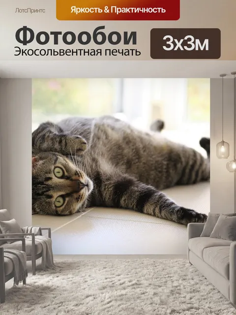 Фотообои Кошка