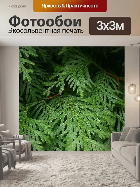 Фотообои Туя