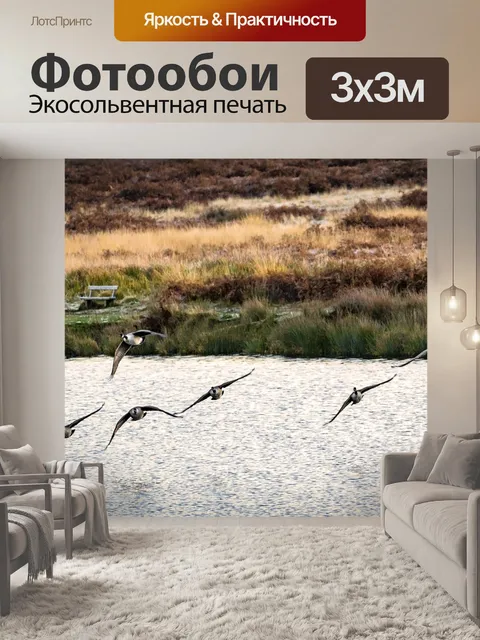 Фотообои Летающий