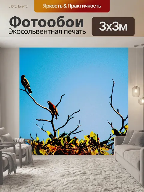 Фотообои Птицы