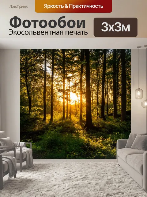 Фотообои закат в лесу, солнечные лучи пробиваются сквозь листву, завораживающий свет и тень