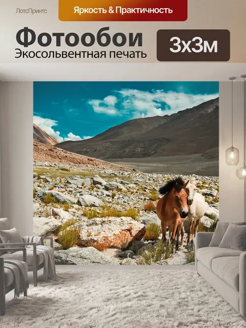 Фотообои Лошади