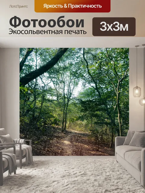Фотообои Деревья и листья 31