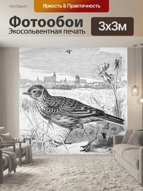 Фотообои Жаворонок