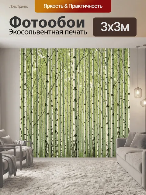 Фотообои Берёзовая роща с тонкими ветвями