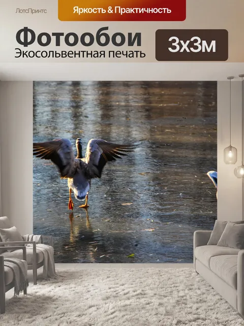 Фотообои Гуси