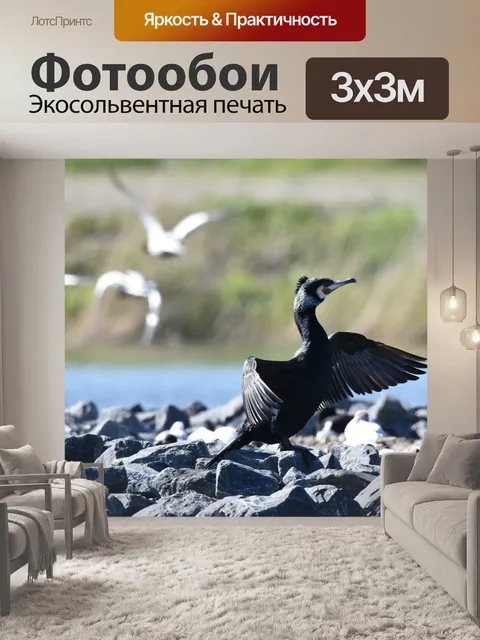 Фотообои Птицы
