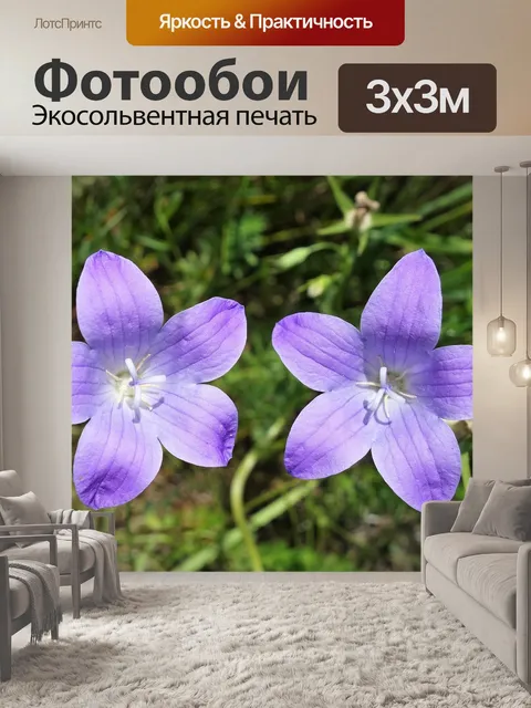 Фотообои Расцветает