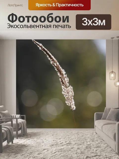 Фотообои Природа
