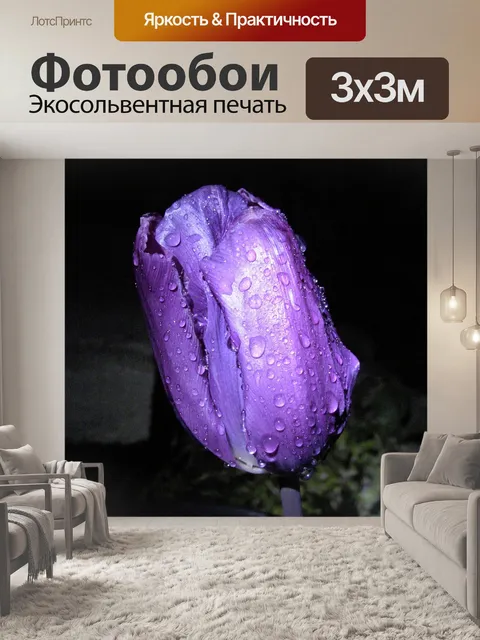 Фотообои Цветы