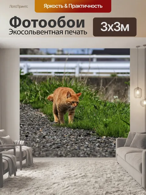 Фотообои Животное
