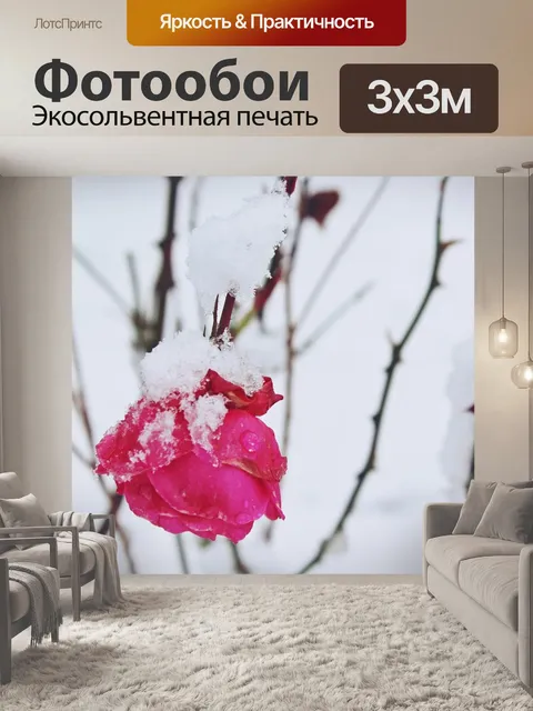 Фотообои Роза