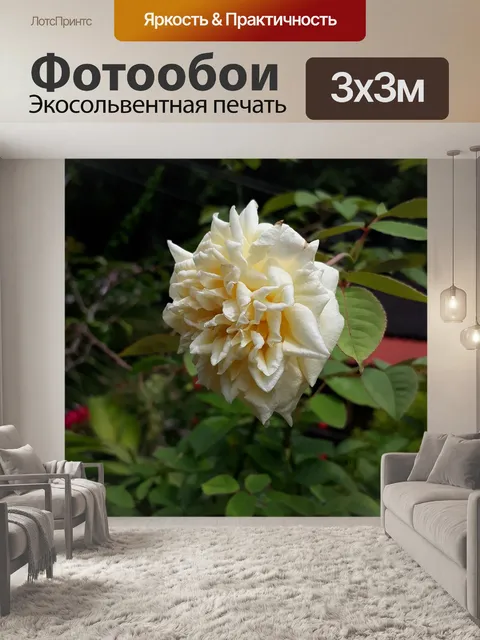 Фотообои Природа