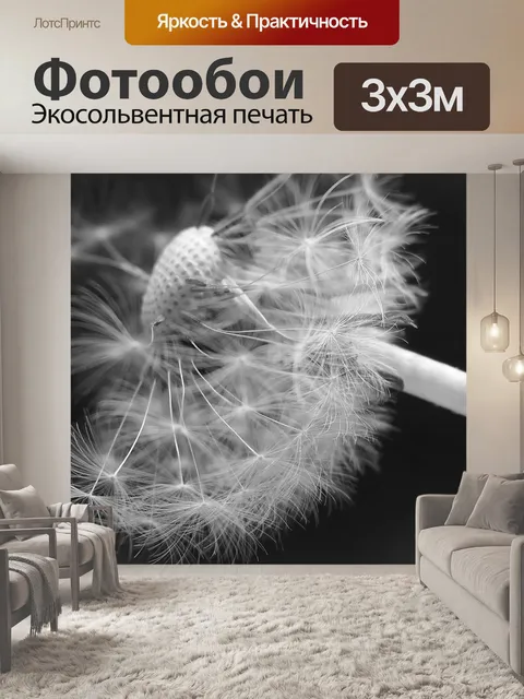 Фотообои Одуванчик