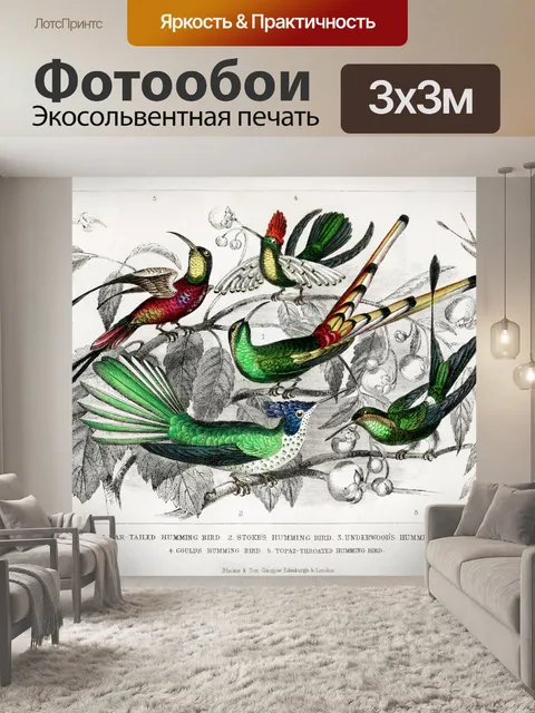 Фотообои Птицы колибри винтаж старый