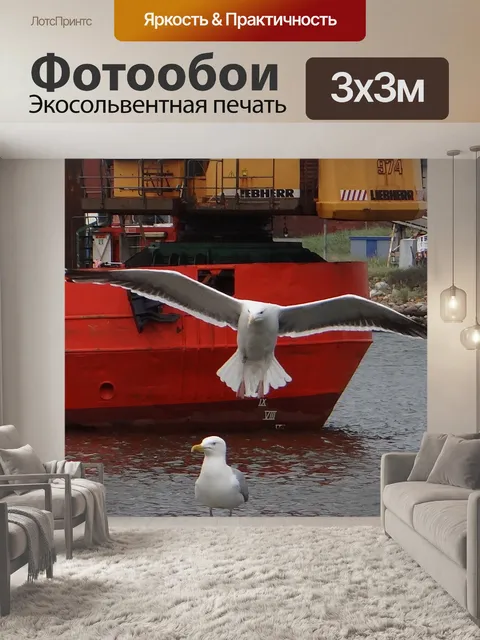 Фотообои Полет чайки