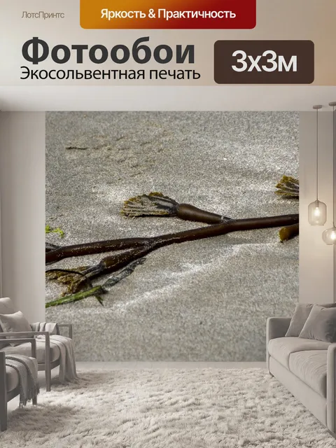 Фотообои Водоросли