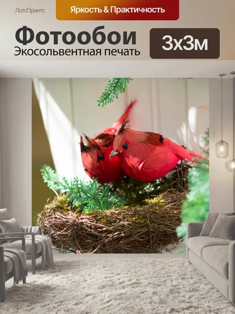 Фотообои Птицы