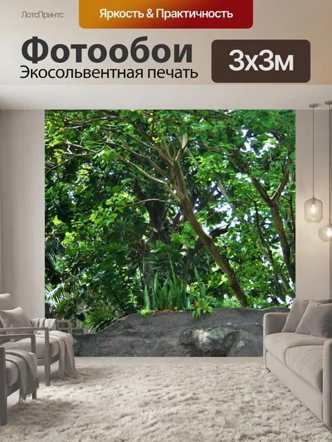 Фотообои деревья и стволы над рок