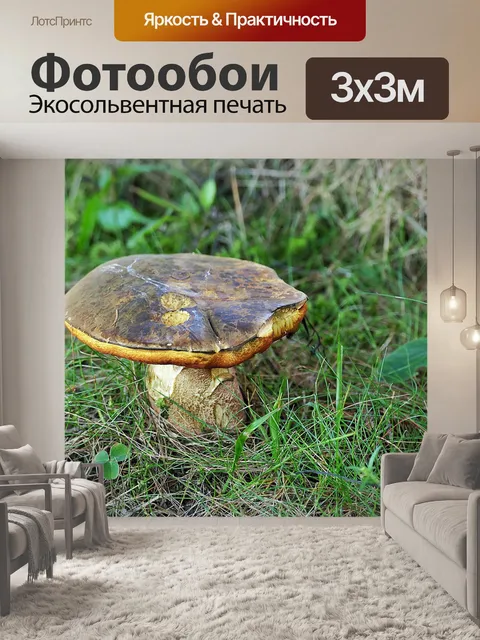 Фотообои Гриб