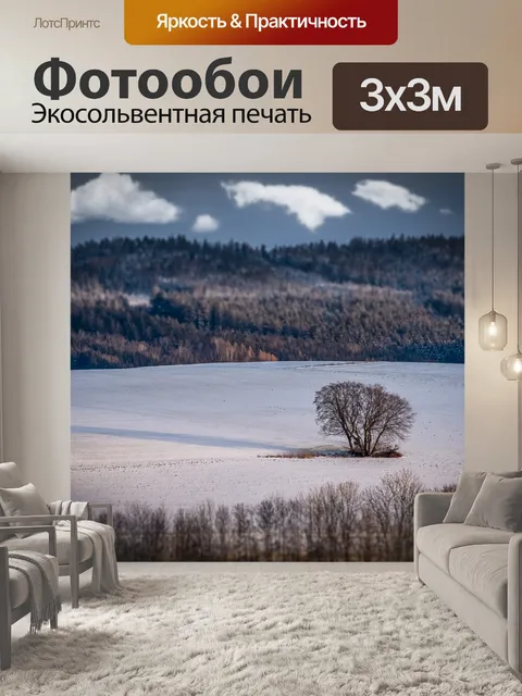 Фотообои Деревья