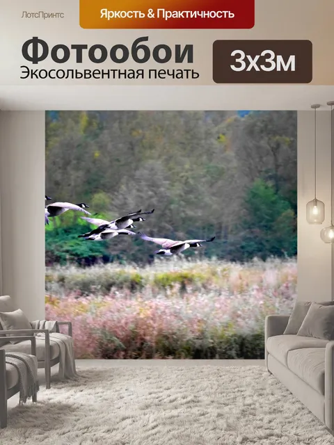 Фотообои Гуси