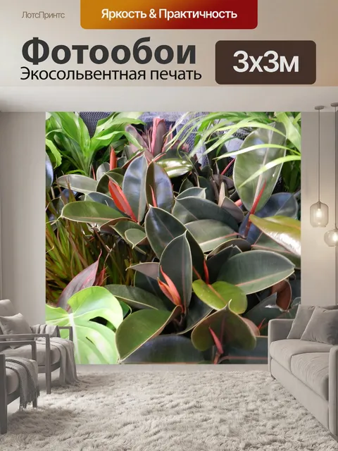 Фотообои Тропические растения (1)