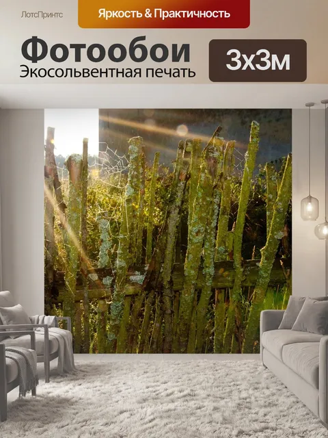 Фотообои Закат