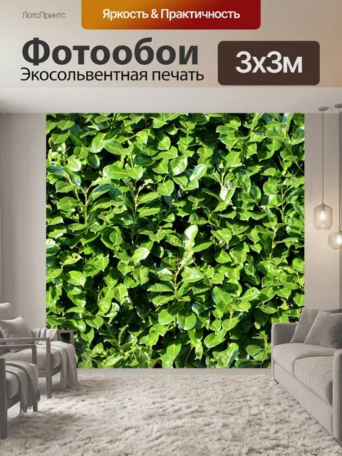 Фотообои Листья