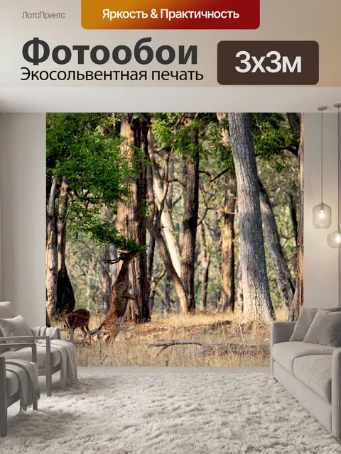 Фотообои Олень