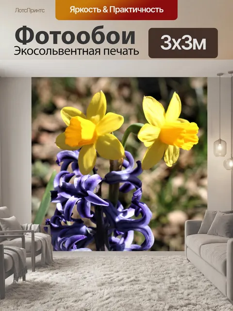 Фотообои Нарциссы и гиацинт крупным планом