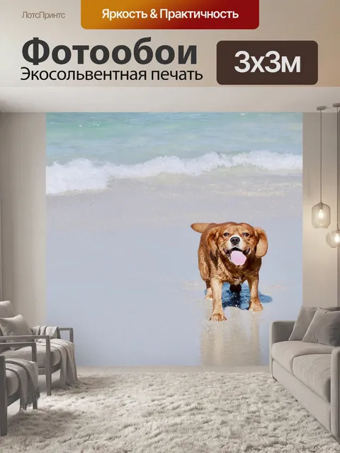 Фотообои Собака