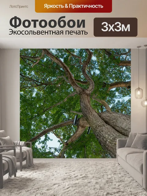 Фотообои Большое дерево