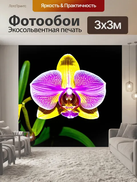 Фотообои орхидея с распущенными лепестками, покрыта золотыми частицами