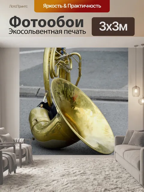 Фотообои Оркестр