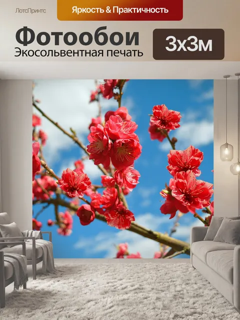 Фотообои Цветы