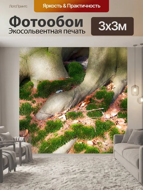 Фотообои Лес