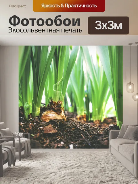 Фотообои Природа
