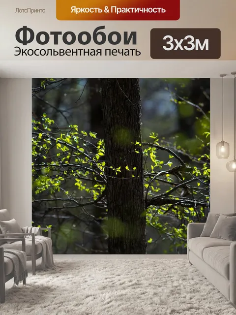 Фотообои Весна