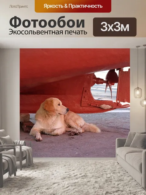 Фотообои Домашнее животное