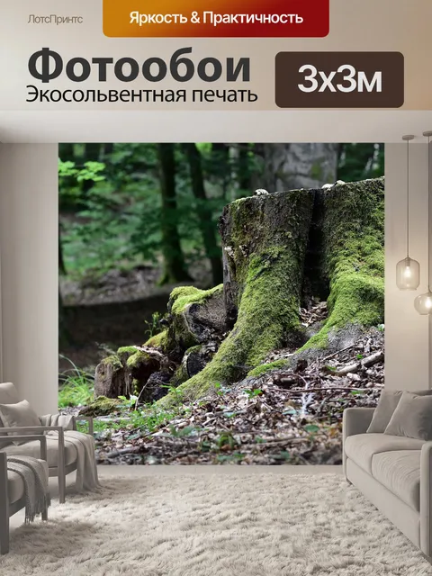 Фотообои Лес